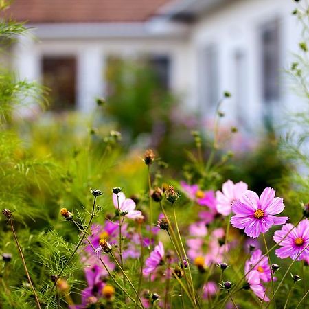 Engels Landhaus Suite Moerbisch Am See Luaran gambar
