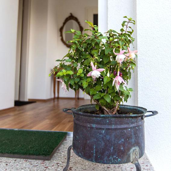 Engels Landhaus Suite Moerbisch Am See Luaran gambar